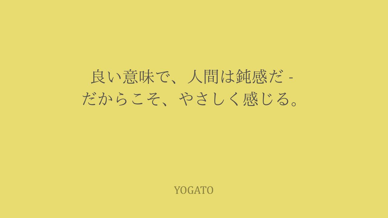 良い意味で、人間(からだ)は鈍感だ – ヨガとセルフケア整体で育てる「感じる力」