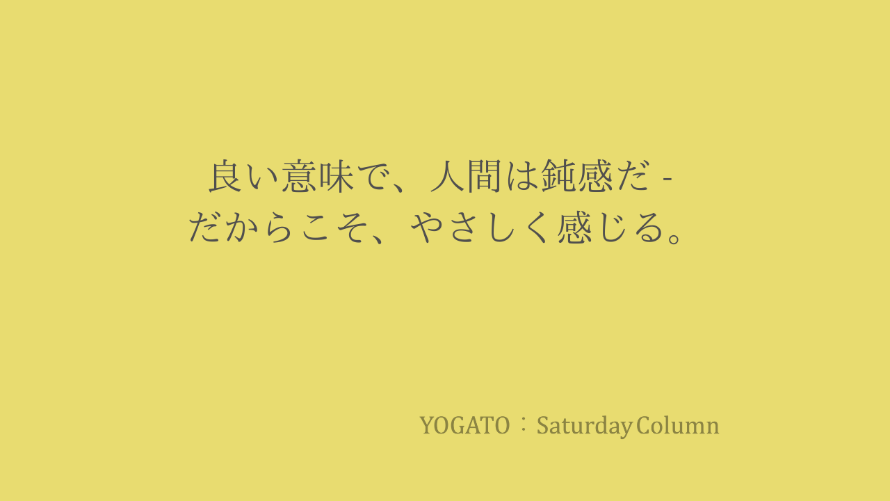 良い意味で、人間(からだ)は鈍感だ – ヨガとセルフケア整体で育てる「感じる力」