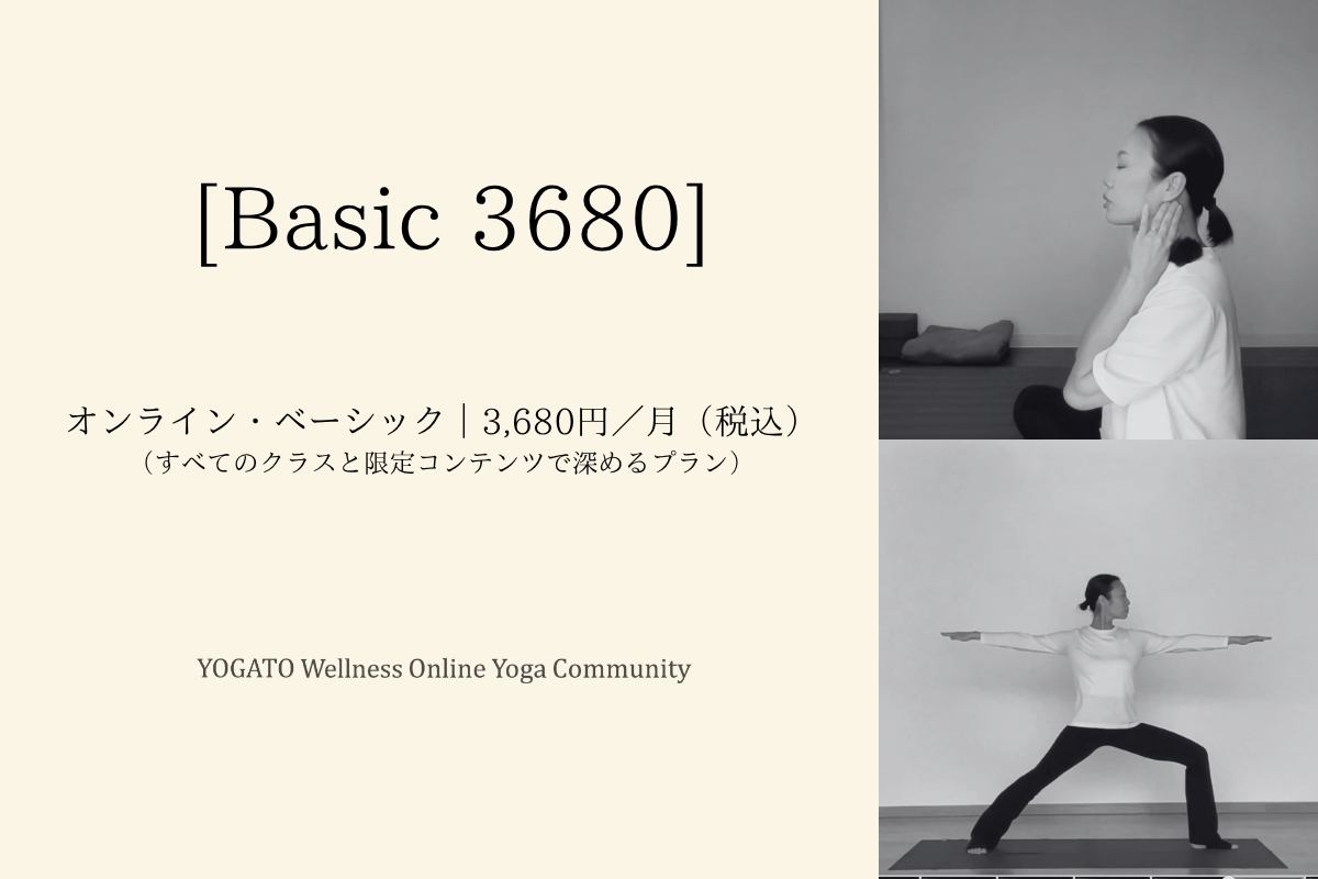 YOGATOのオンラインヨガの選び方｜Short 680とBasic 3680の違い