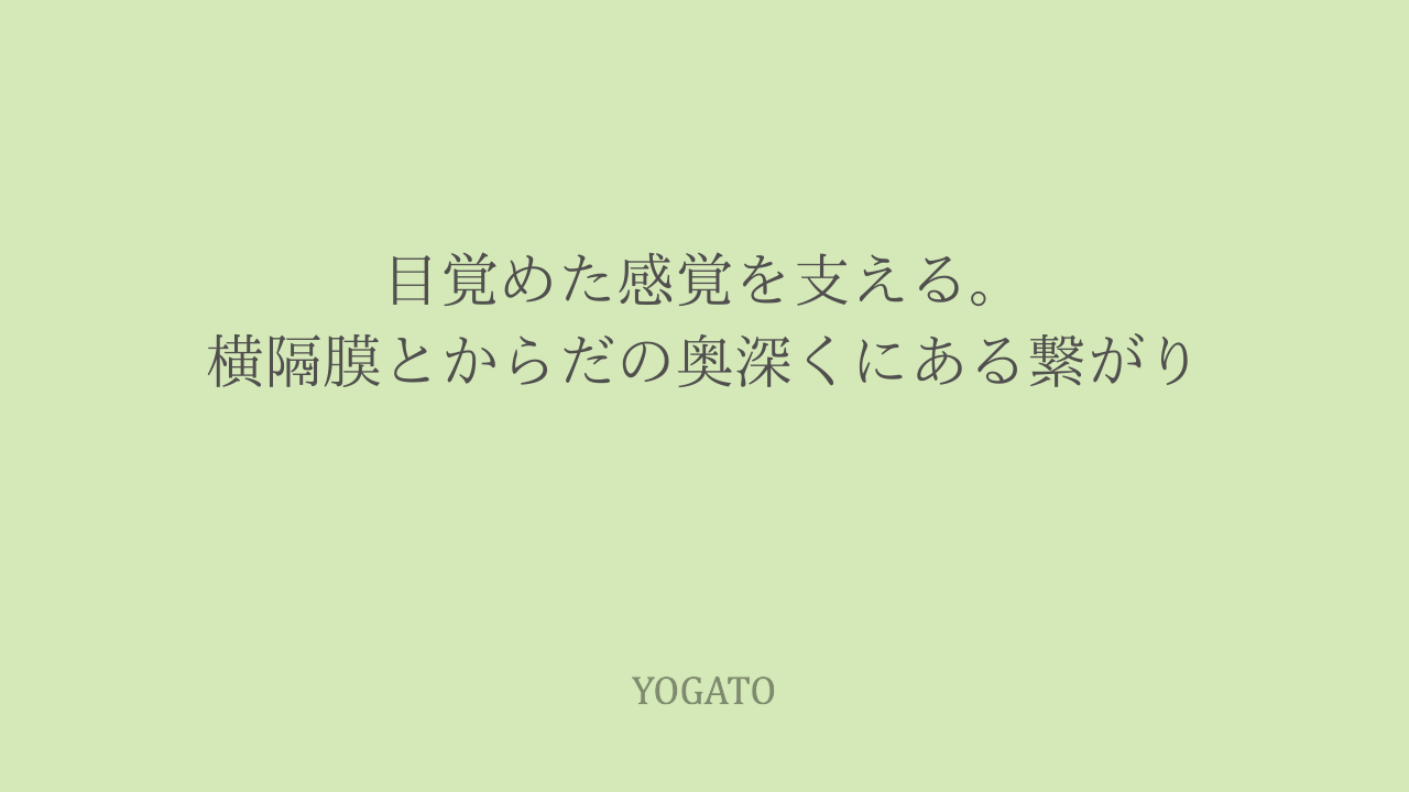 目覚めた感覚を支える。｜横隔膜とからだの奥深くにある繋がり