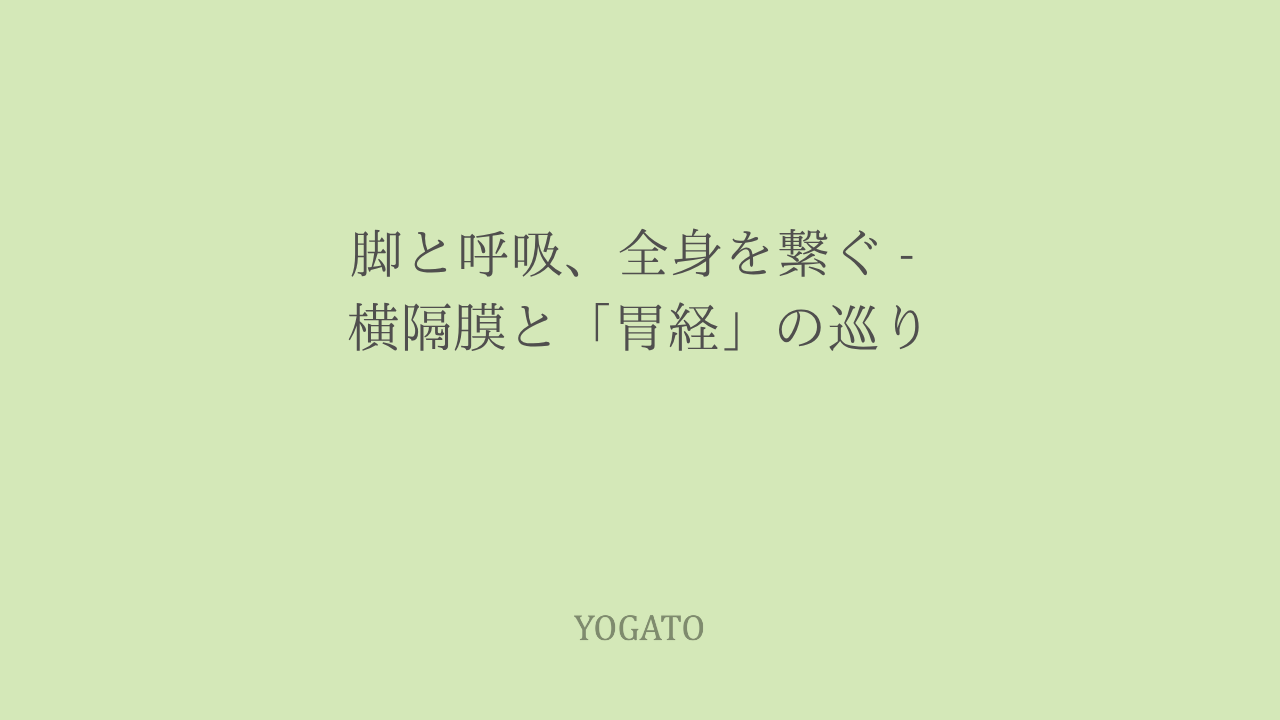春分の日に感じる呼吸の浅さ。脚と横隔膜を繋ぐ「胃経」の巡り