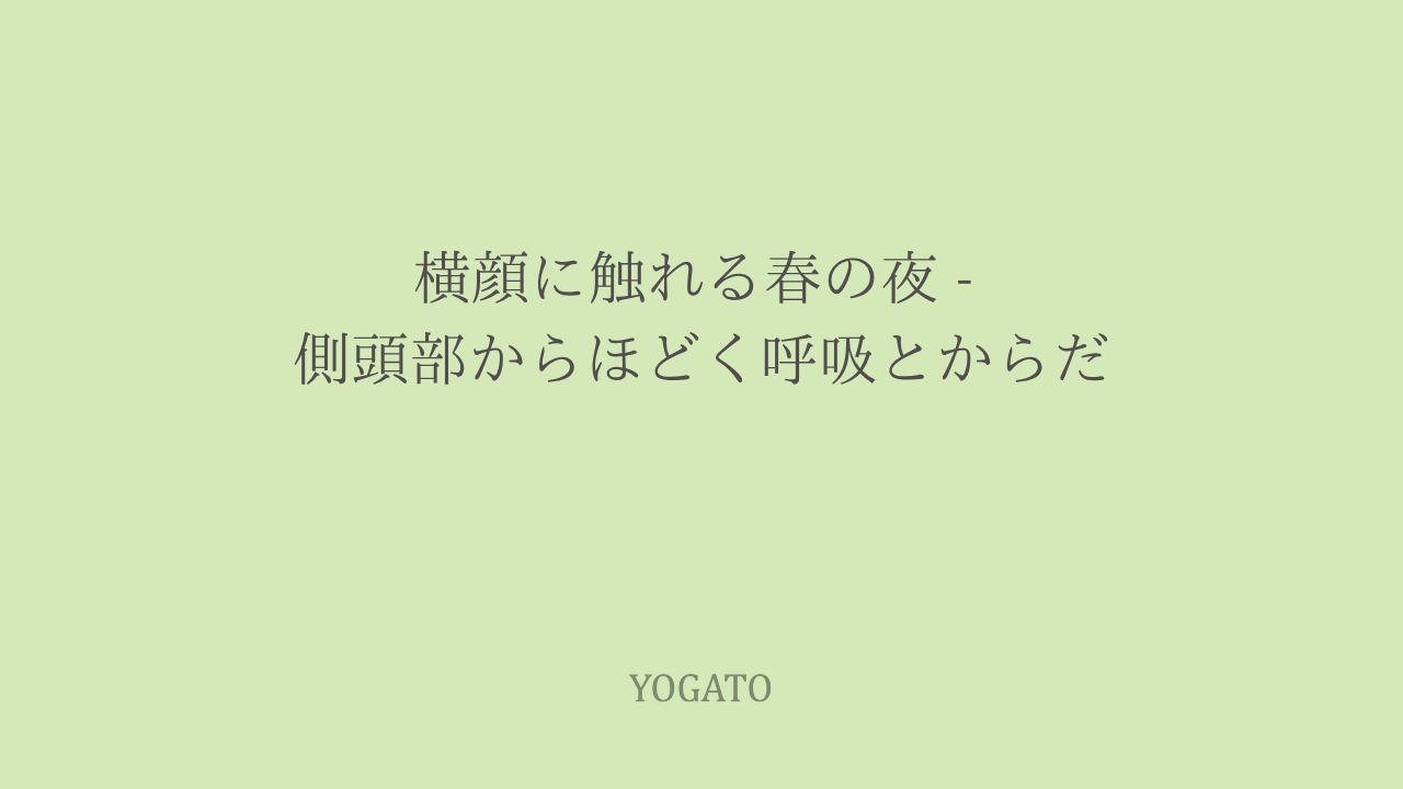 横顔に触れる春の夜 – 側頭部からほどく呼吸とからだ