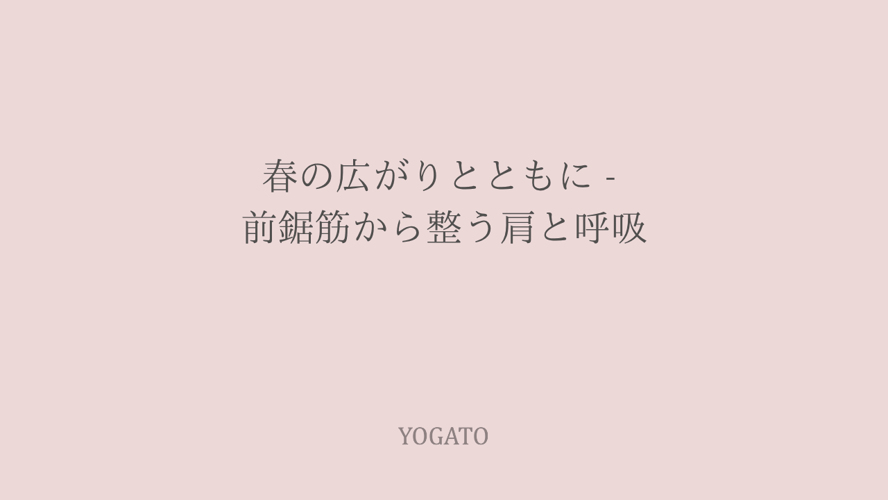 春の広がりとともに – 前鋸筋から整う肩と呼吸