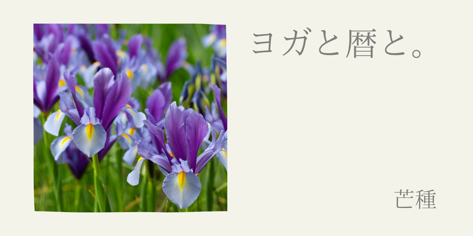 ヨガと暦と。芒種
